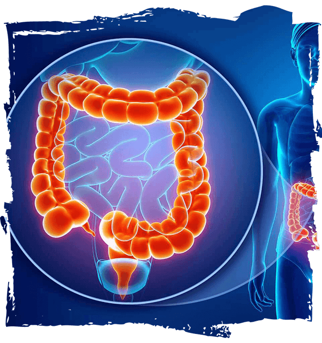 Total Revive + Benefits