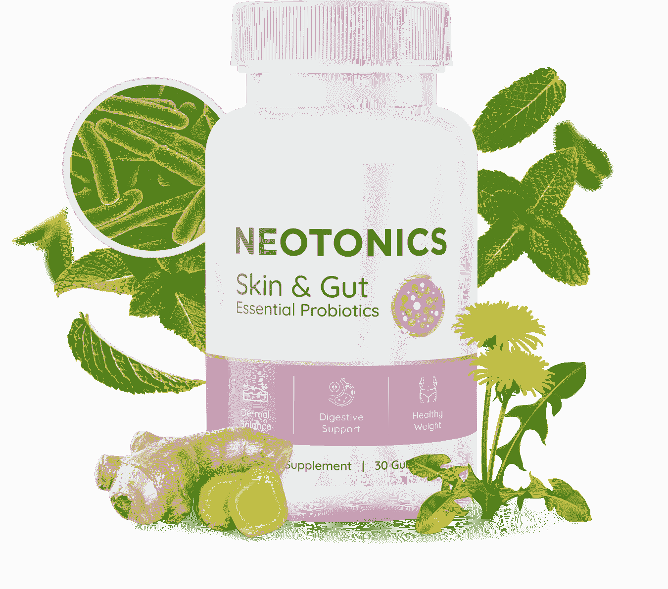 notonics reviews