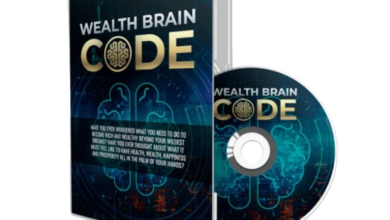 Wealth Brain Code Reviews
