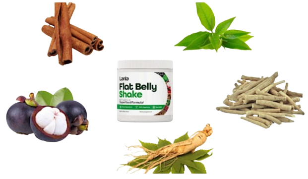 lanta flat belly shake ingredients