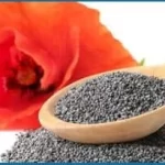 California Poppy (Poppy Seed)