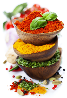 Nicoya PuraTea ingredients
