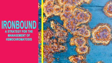 Ironbound Program Reviews