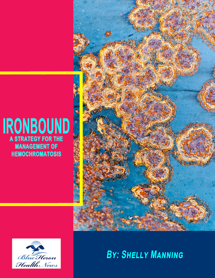 Ironbound Program Reviews