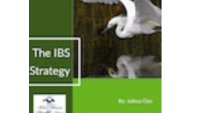 The IBS Strategy Reviews