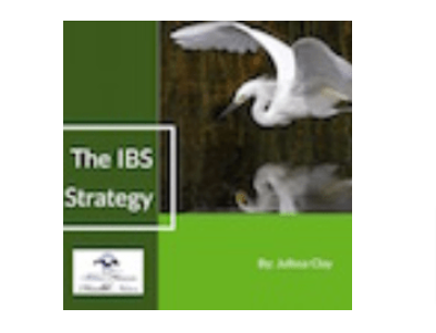 The IBS Strategy Reviews