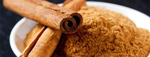 Cinnamon (Cinnamomum verum)