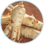 Ginseng