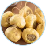 Maca Root