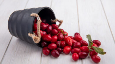 When Does Berberine Start Working