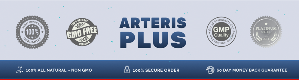  Arteris Plus Quality assured