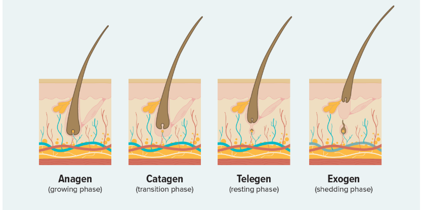Purality Health Hair Renewal Benefits