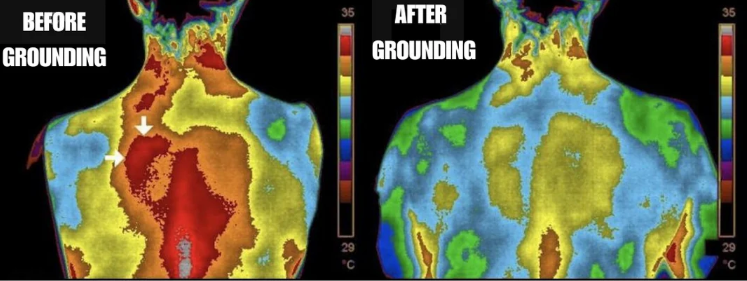Terra Grounding Bed Sheet