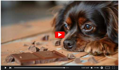 Add a How Much Chocolate Can Kill A Dog