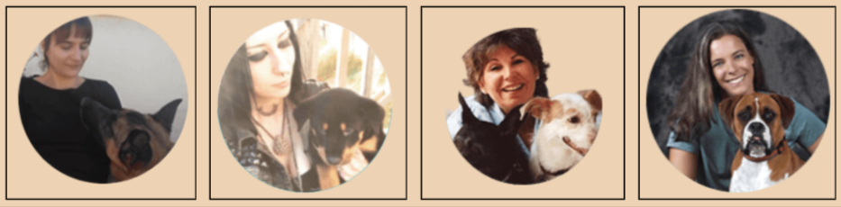 Brain Training for Dogs Customer Reviews