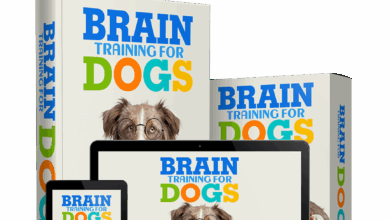 Brain Training for Dogs Reviews