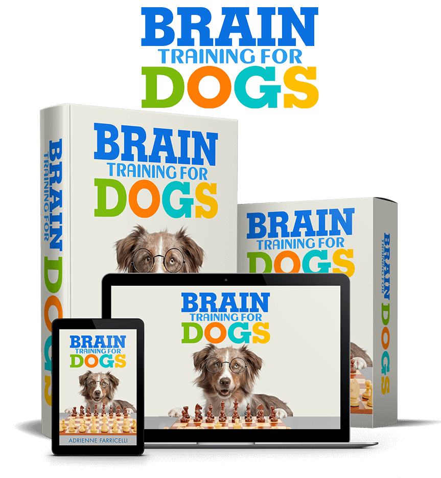Brain Training for Dogs Reviews
