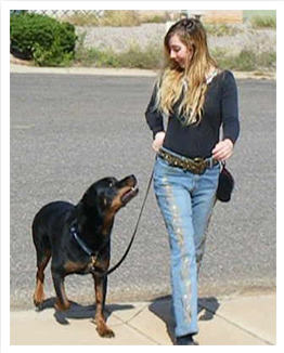 Brain Training for Dogs benefits