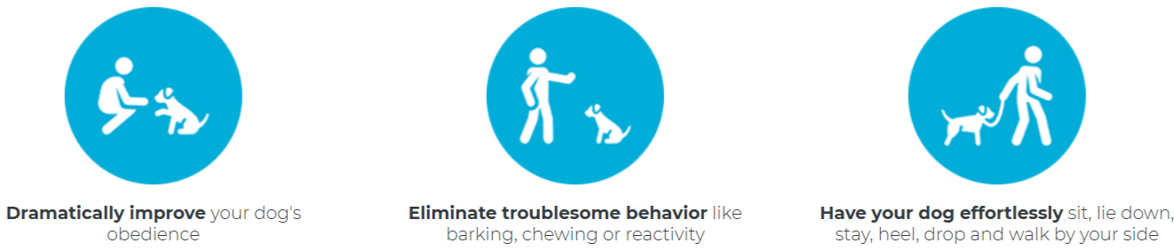 Brain Training for Dogs module