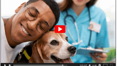 Dog Health