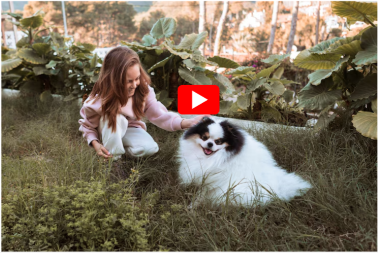 Great Pyrenees Live