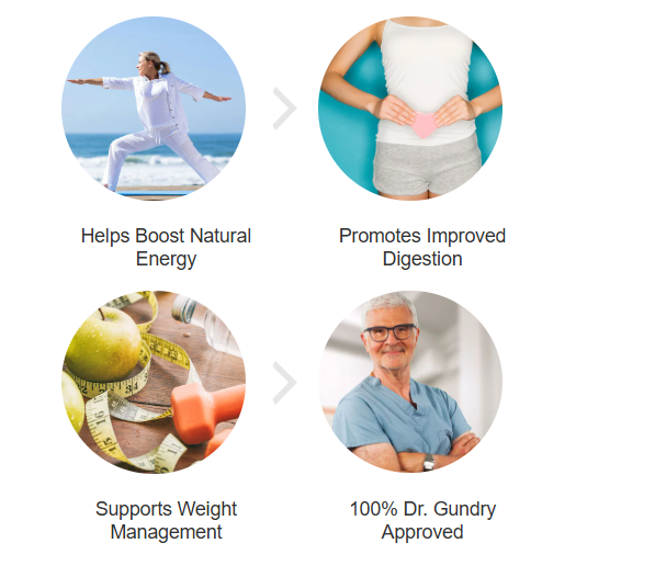 Gundry MD ProPlant Complete Shake benefits