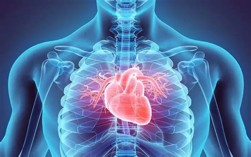 Heart Beat 911 Benefits