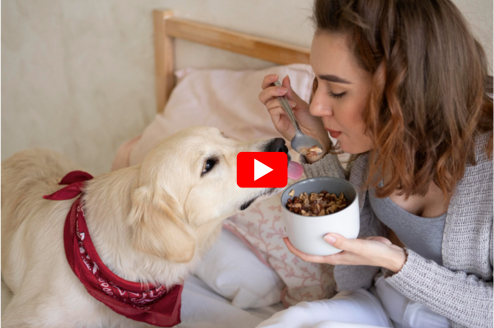 Psyllium Husk for Dogs