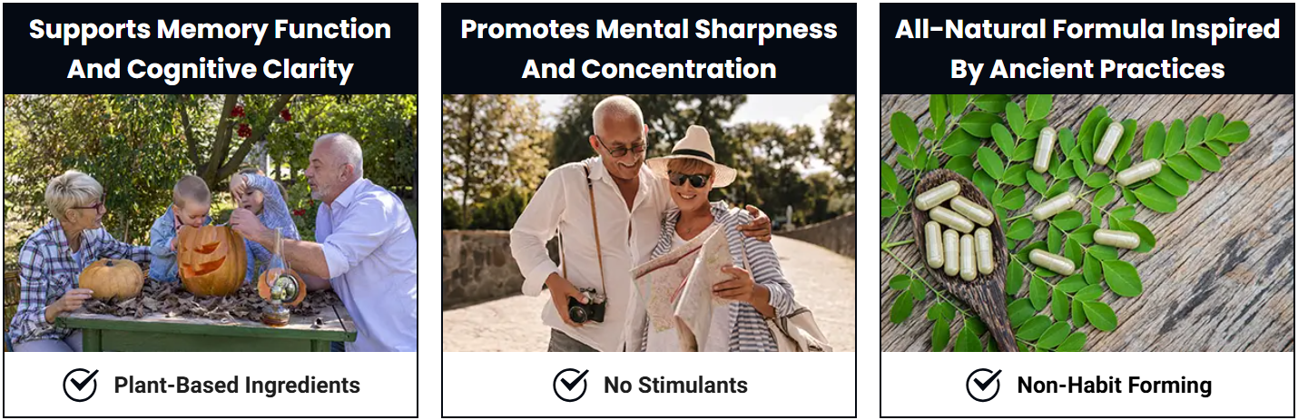 SynaBoost Benefits