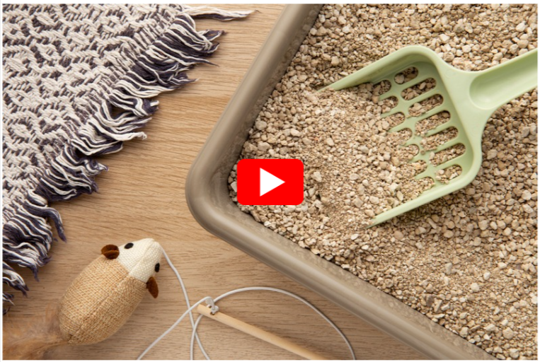 psyllium husk for dogs with diarrhea