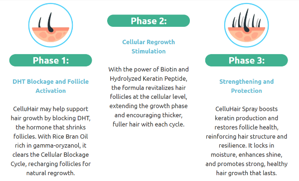 CelluHair Spray phases