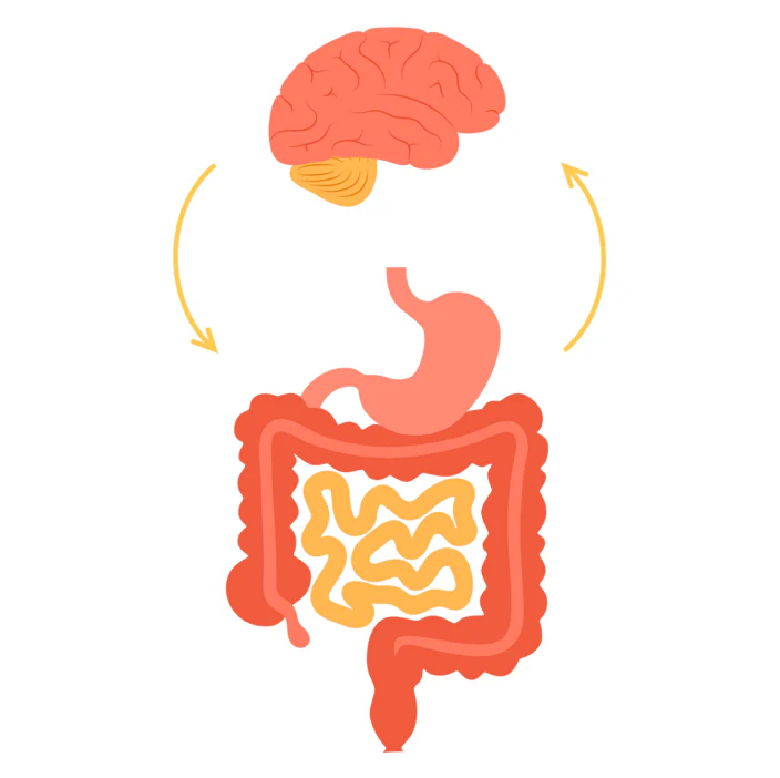 Clear Brain and Mood Benefits