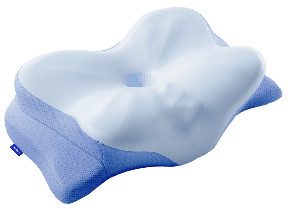 Derila ERGO Memory Foam Pillow Reviews