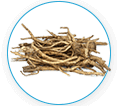 Eleutherococcus Senticosus Root