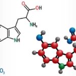 5-HTP