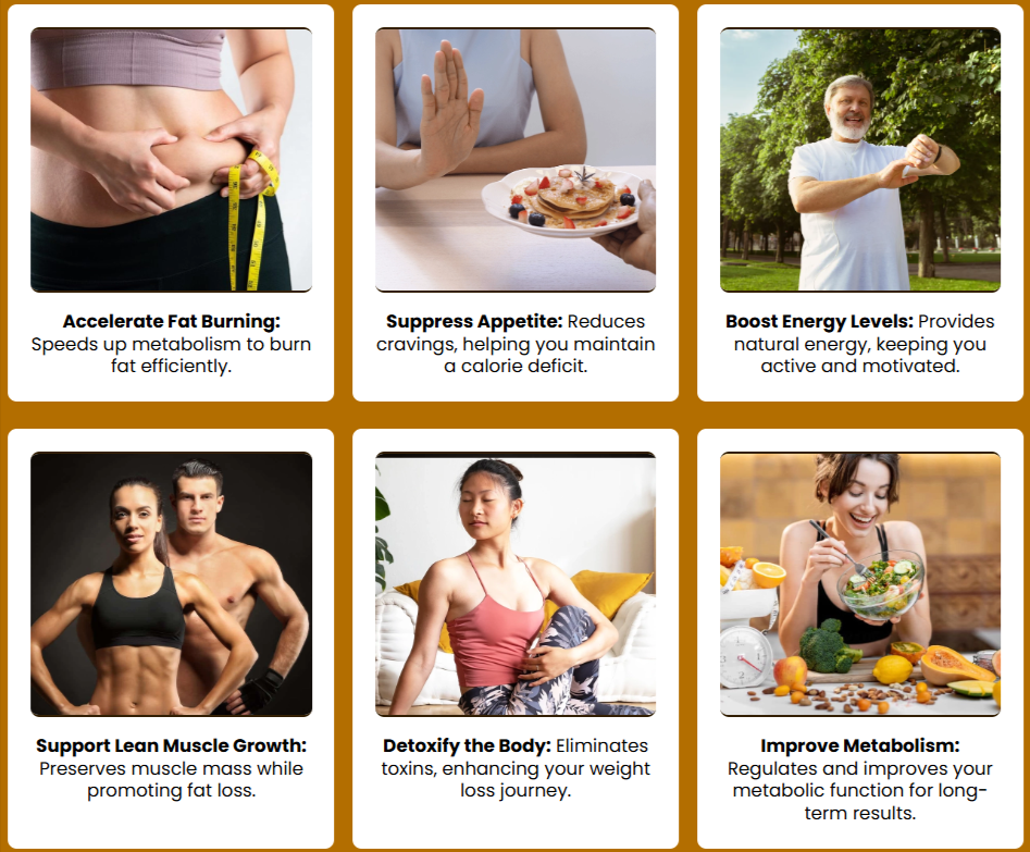 Fit Burn Benefits