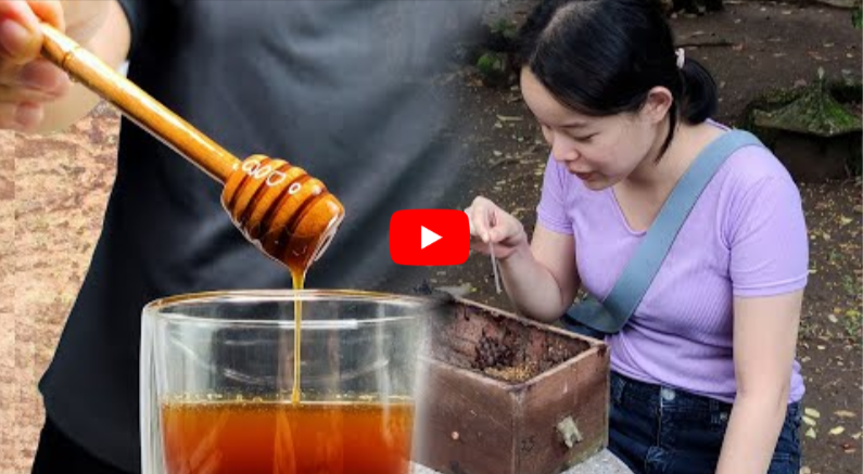 Brazilian Honey Trick Recipes