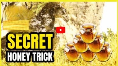 honey trick for sexual