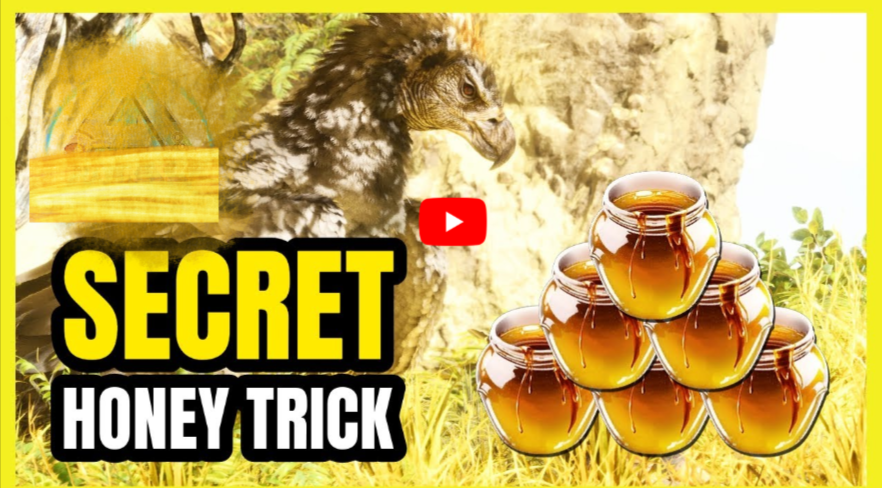 honey trick for sexual