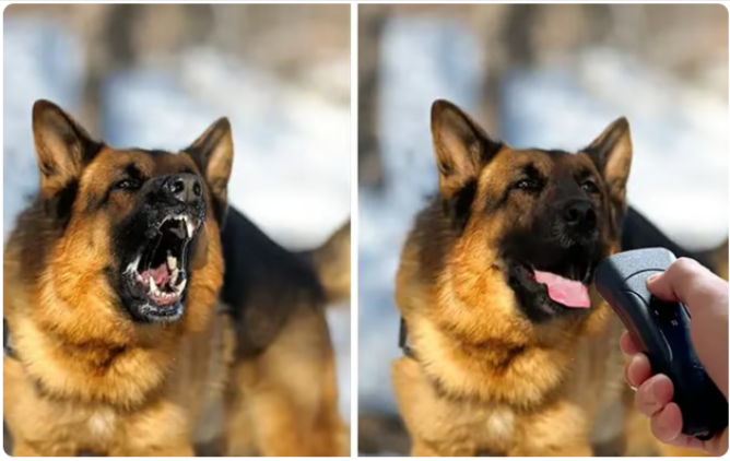 Barks No More Benefits