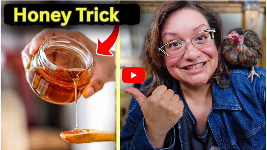 honey trick dementia