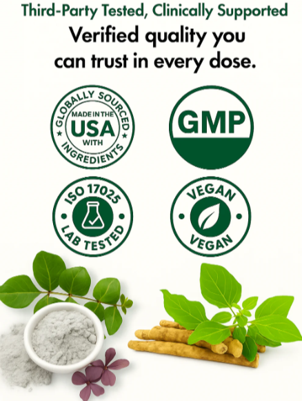 Cloud 9 Daily Restore certified