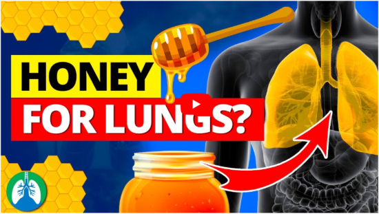 Honey Trick Lungs