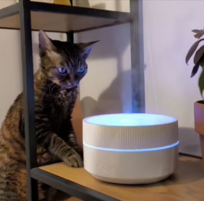 Clairu Air Humidifier cus 2