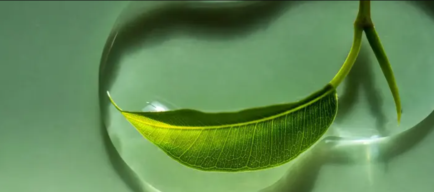 Glamory's MicroLift System Ingredients 6