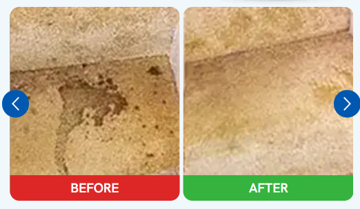 The Pee Buster results