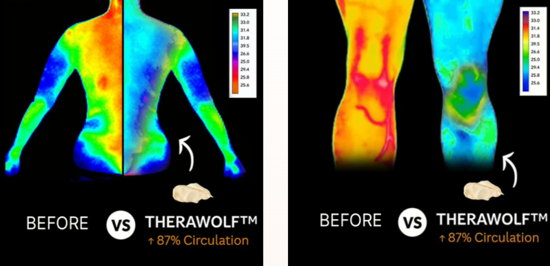 TheraWolf PainBalm why choose