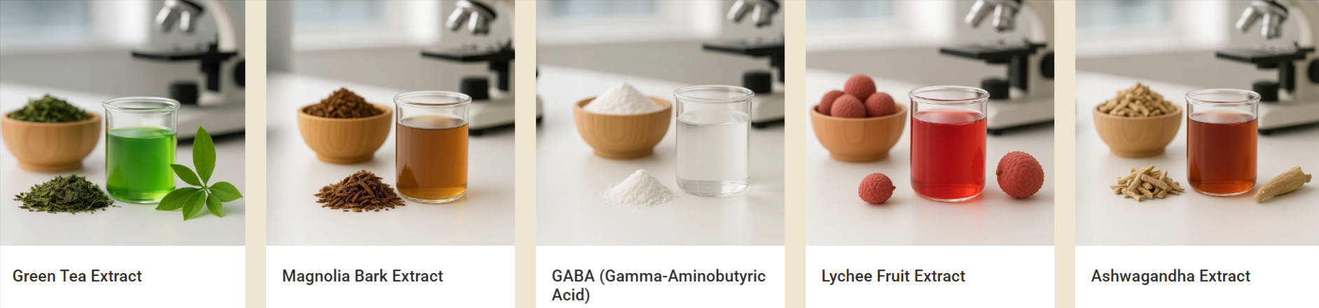 Gentle Anti-Stress Patches incredients