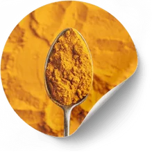 Turmeric (Curcuma longa)