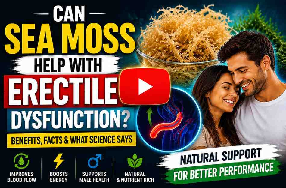 Is Sea Moss Good for ErectileDysfunction